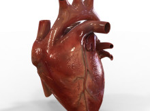 coração artifical impresso 3d